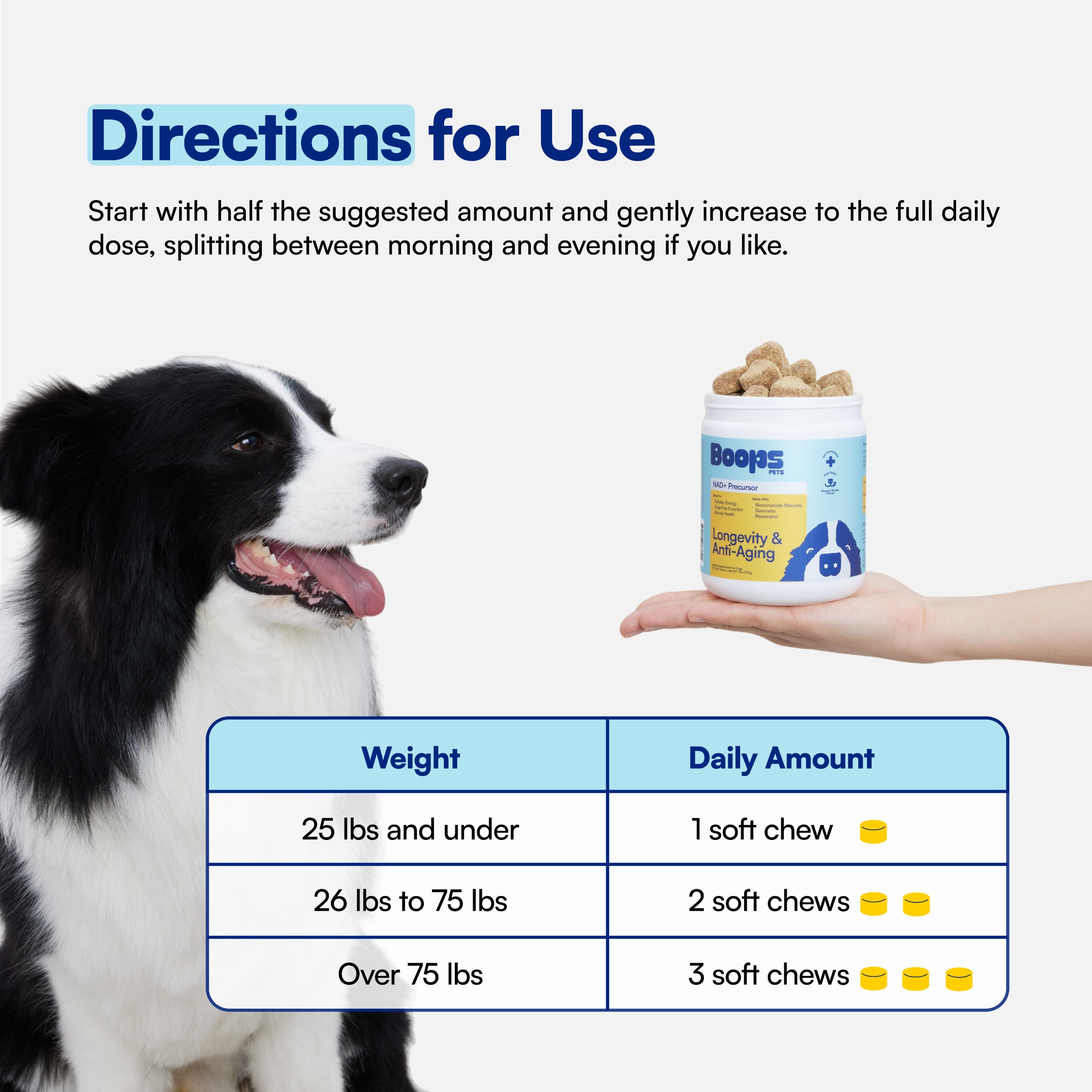 Longevity & Healthy Aging NAD+ Precursor Soft Chews