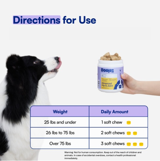 Advanced Hip & Joint Soft Chews for Dogs