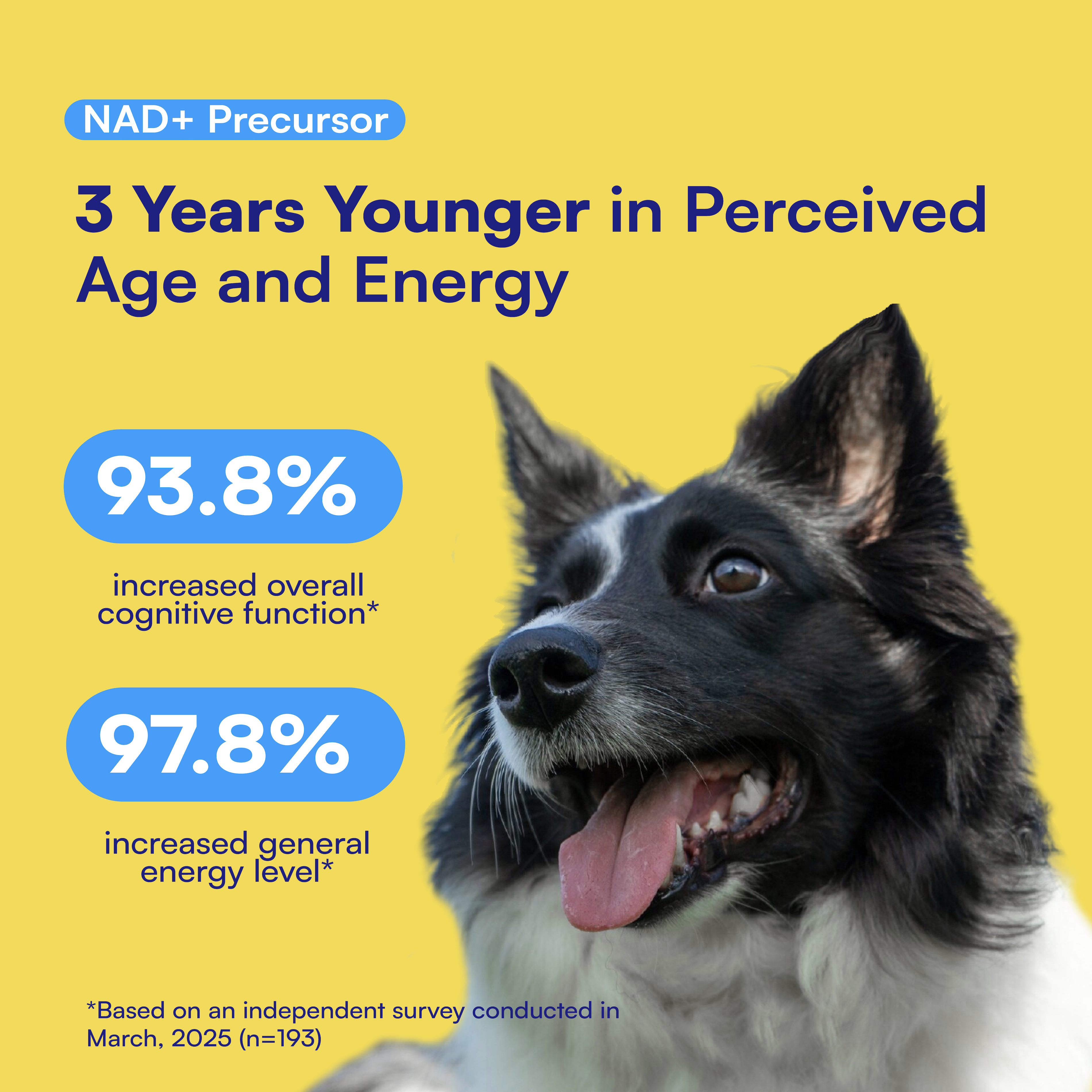 Longevity & Healthy Aging NAD+ Precursor Soft Chews