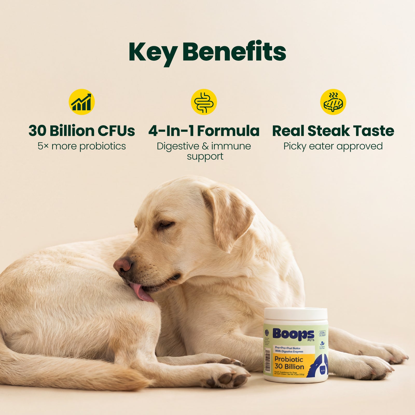 Probiotic 30 Billion