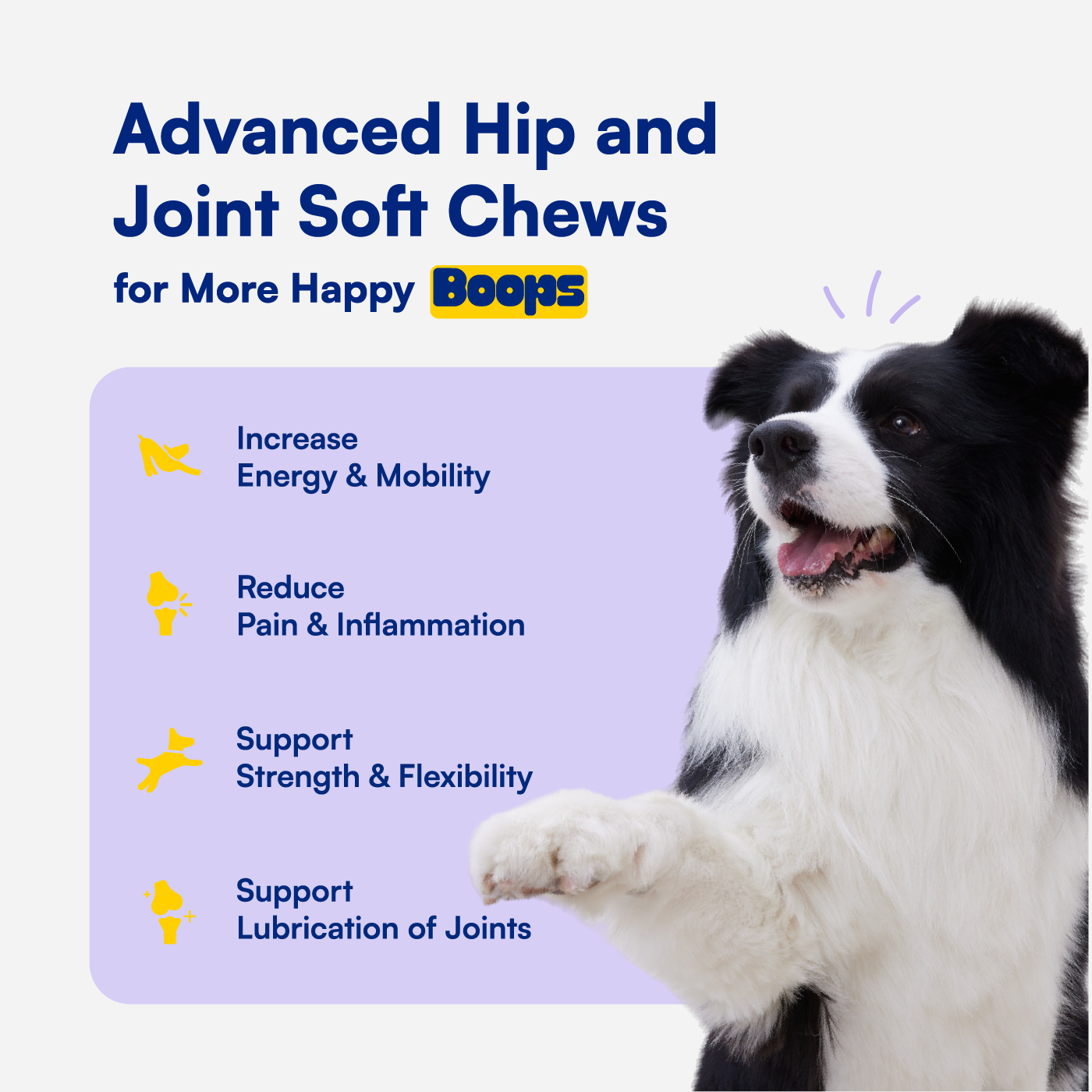 Advanced Hip & Joint Soft Chews