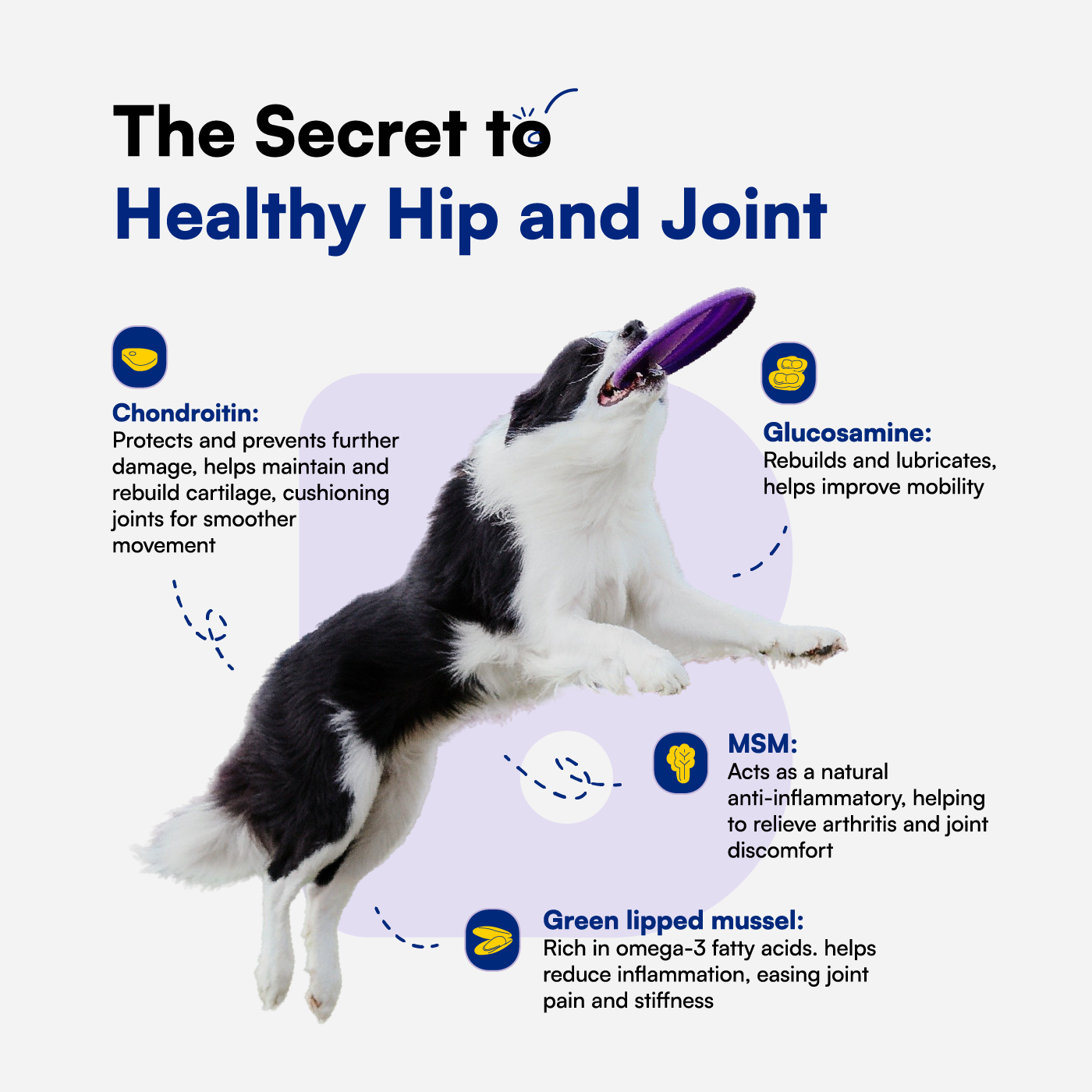 Advanced Hip & Joint Soft Chews