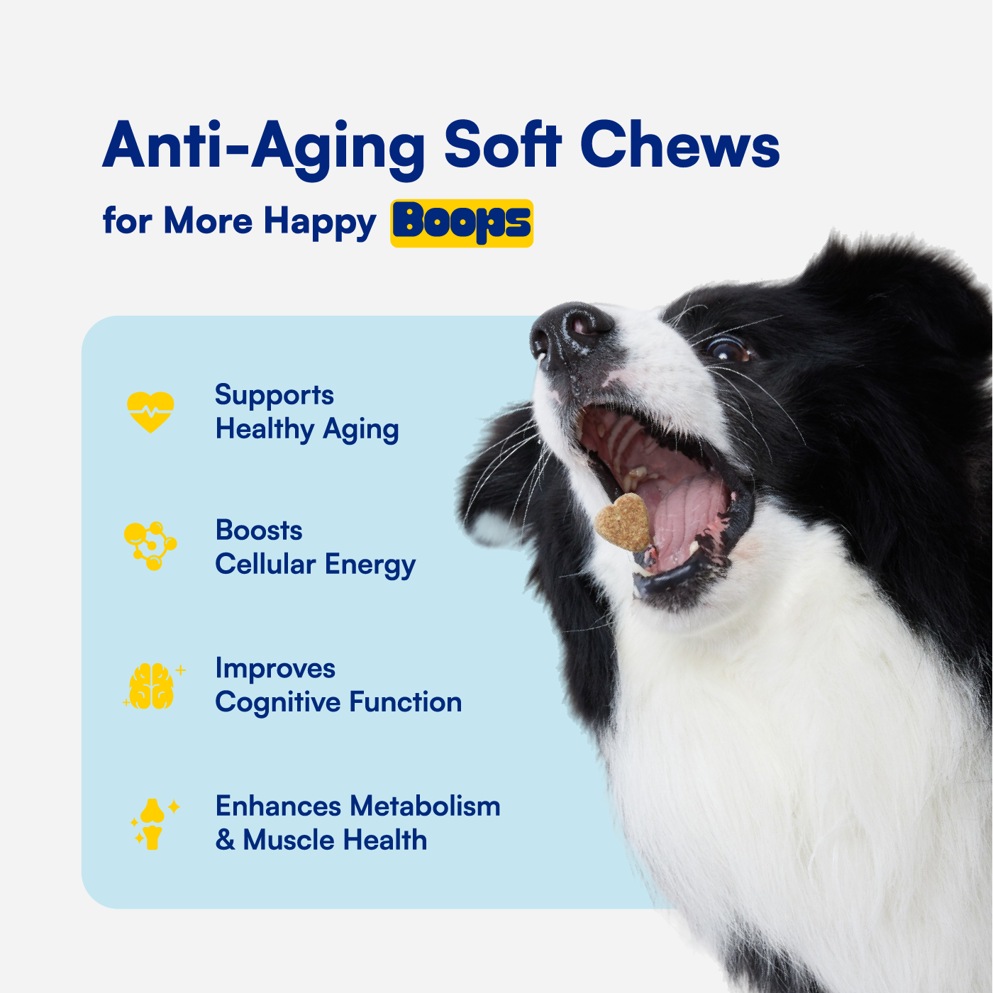 Longevity & Healthy Aging NAD+ Precursor Soft Chews