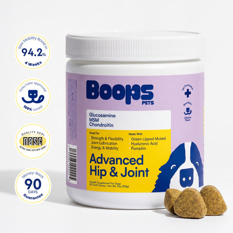 Advanced Hip & Joint