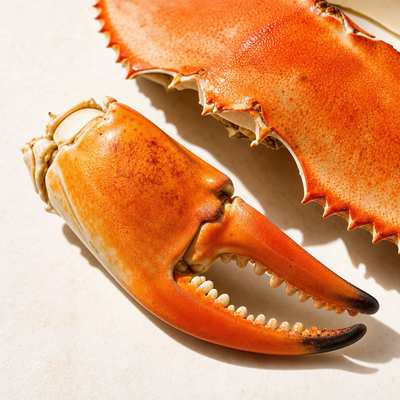 Boops Pets ingredient: glucosamine crab shell