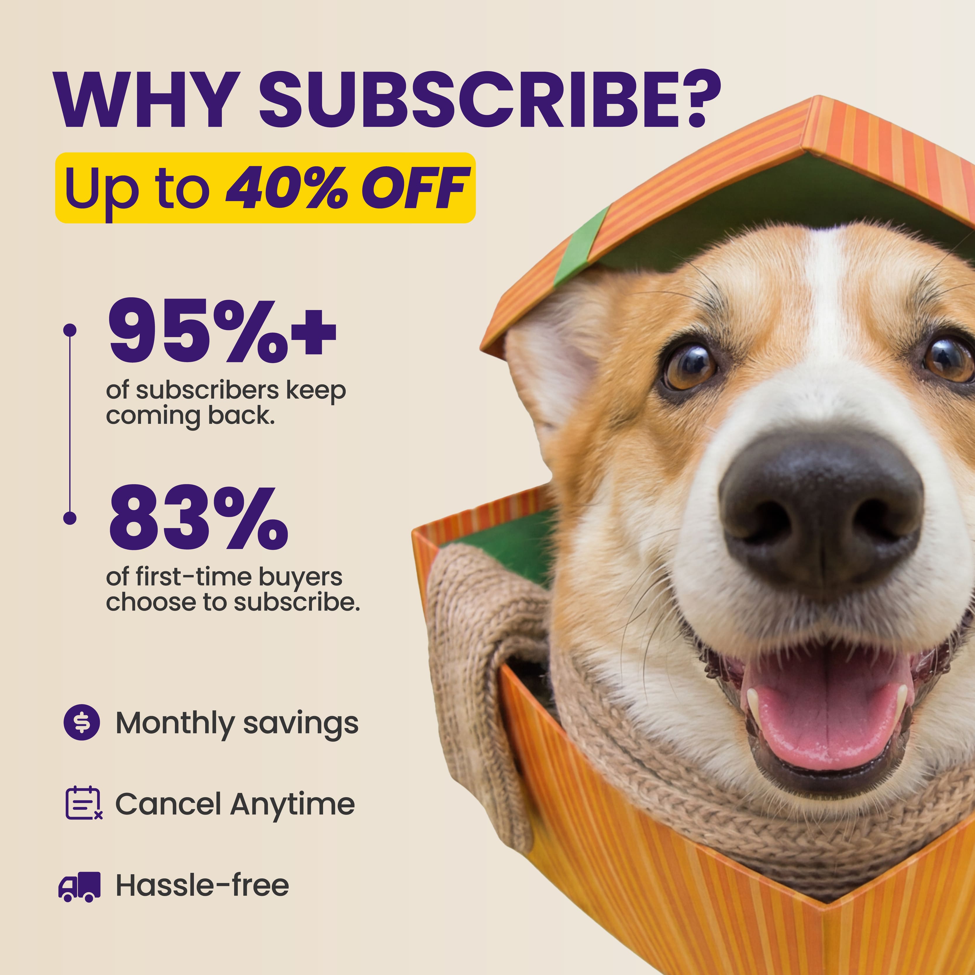 Advanced Hip & Joint Soft Chews for Dogs